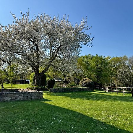 Le Domaine Du Ganquis Hotell Belz Exteriör bild