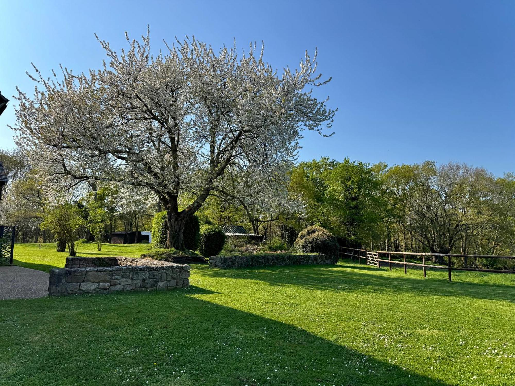 Le Domaine Du Ganquis Hotell Belz Exteriör bild